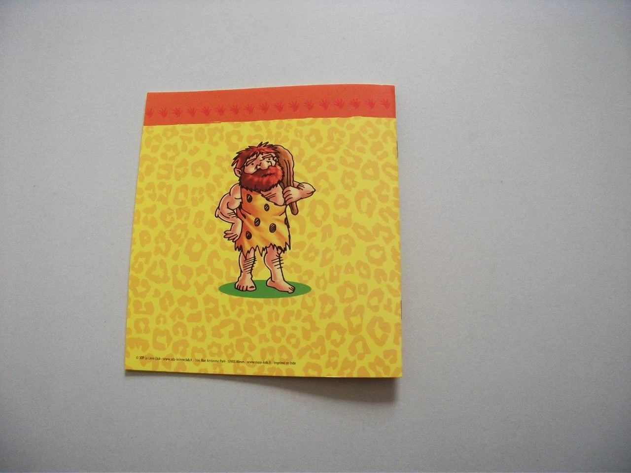 Boek prehistorische spelletjes voor kinderen – photo 11